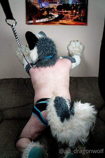 ad_dragonwolf Голые слитые фото OnlyFans 10