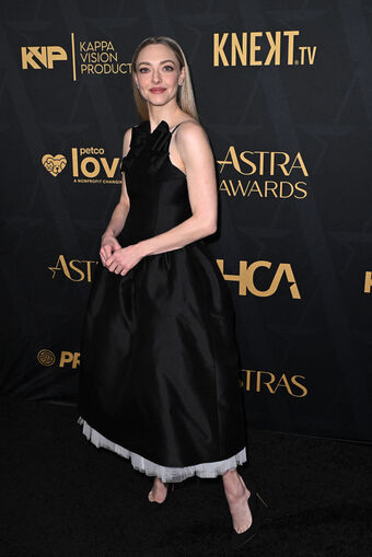 Amanda Seyfried Голые слитые фото OnlyFans 340