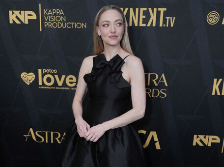 Amanda Seyfried Голые слитые фото OnlyFans 342