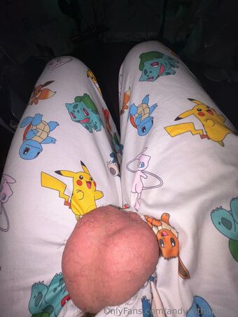 andywithabigdic