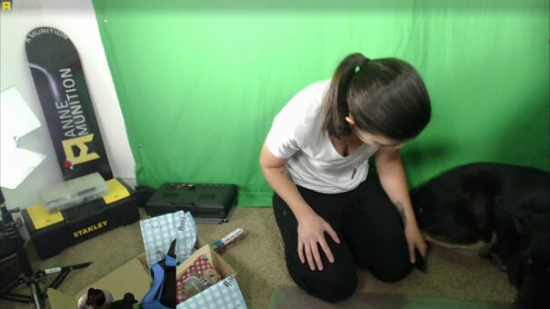AnneMunition