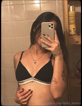 anto_bunny