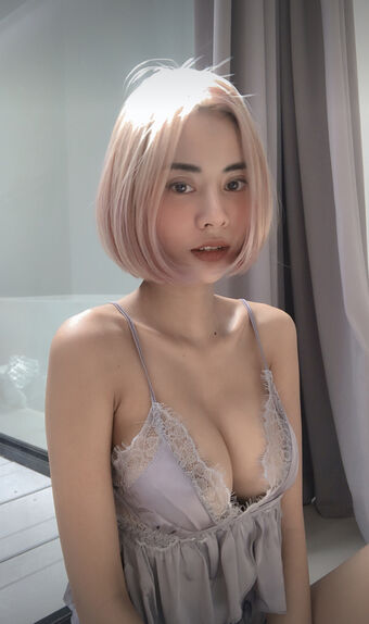 Baibaifern
