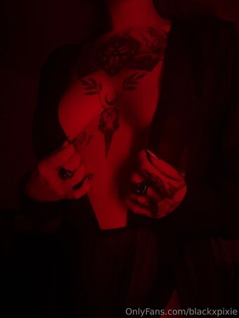 blackxpixie Голые слитые фото OnlyFans 19