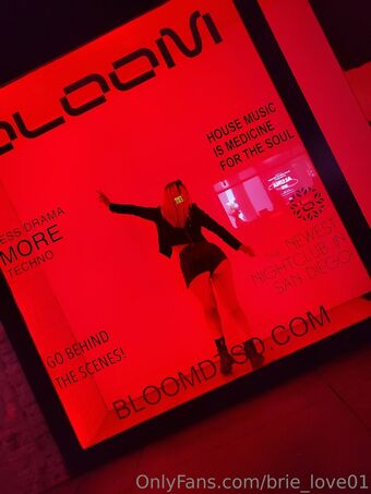 brie_love01 Голые слитые фото OnlyFans 10