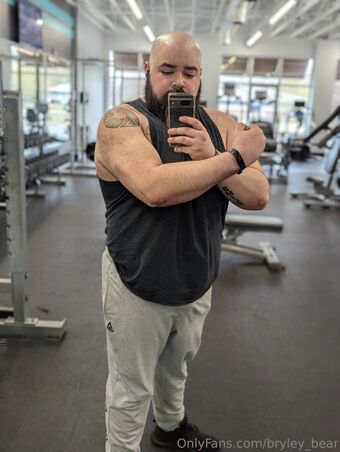 bryley_bear