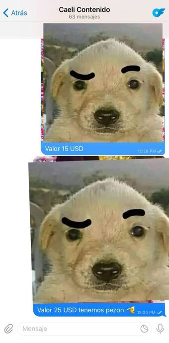 Caeli