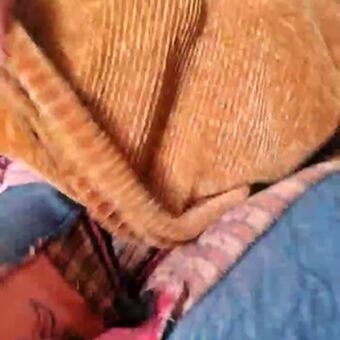 Cami Sweet Голые слитые фото OnlyFans 40