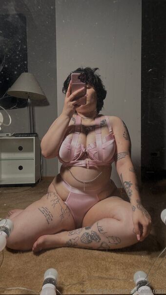 ceceisarose