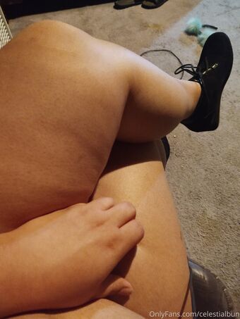 celestialbun Голые слитые фото OnlyFans 9