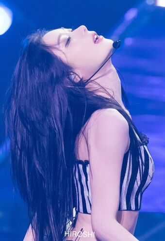 Chaeryeong Голые слитые фото OnlyFans 242