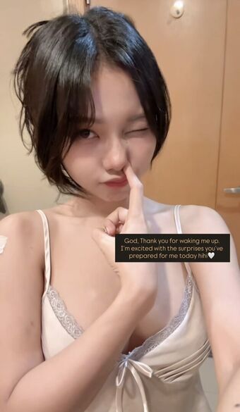 Chippu Голые слитые фото OnlyFans 108
