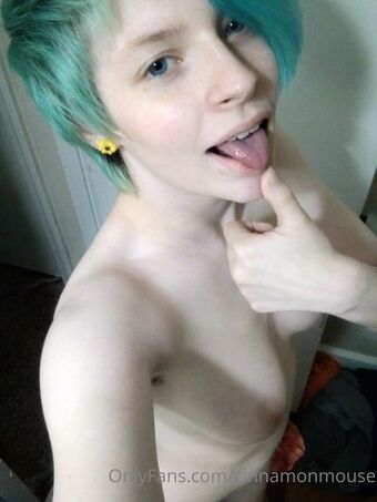 cinnamonmouse Голые слитые фото OnlyFans 16