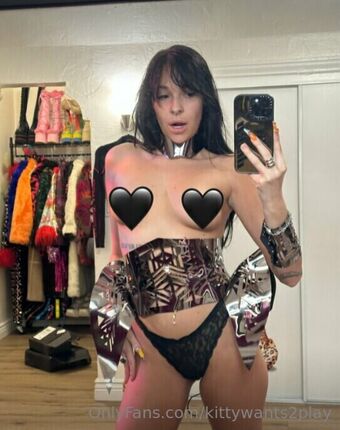 Disko.kitty Голые слитые фото OnlyFans 34
