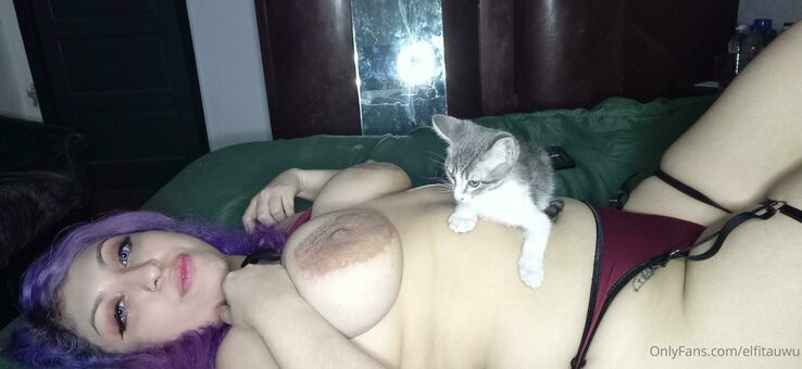 elfitauwu Голые слитые фото OnlyFans 16