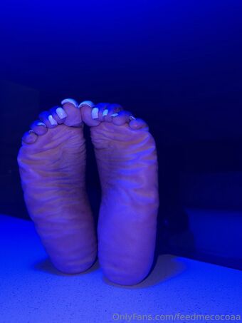 feedmecocoaa Голые слитые фото OnlyFans 20