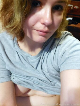 freephoenixxcreates Голые слитые фото OnlyFans 11