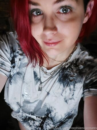 freephoenixxcreates Голые слитые фото OnlyFans 16