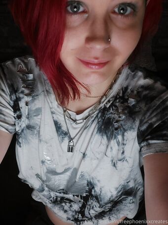 freephoenixxcreates Голые слитые фото OnlyFans 17