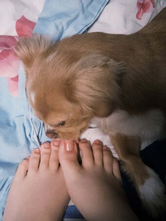 Hispanic Голые слитые фото OnlyFans 352