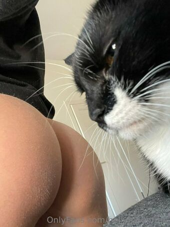 hollymoonvvip Голые слитые фото OnlyFans 3