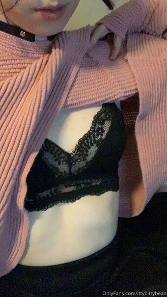 ittybittybean Голые слитые фото OnlyFans 8