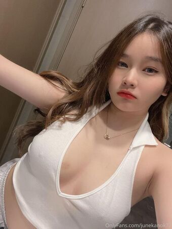 junekanok Голые слитые фото OnlyFans 23