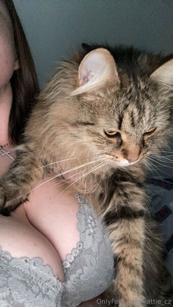 kattie_cz