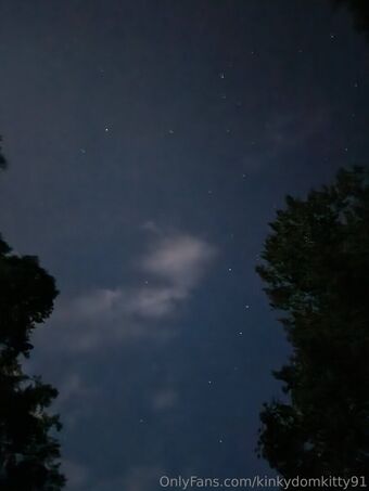 kinkydomkitty91