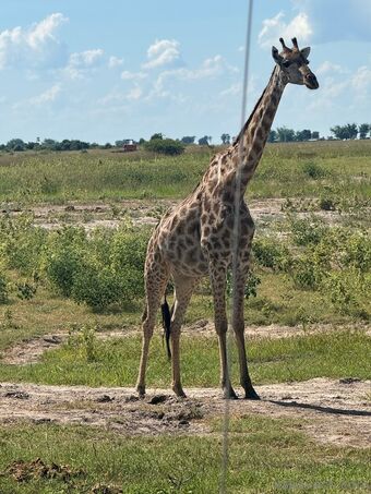 lia.ann Голые слитые фото OnlyFans 6