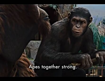 lilijunex Голые слитые фото OnlyFans 125