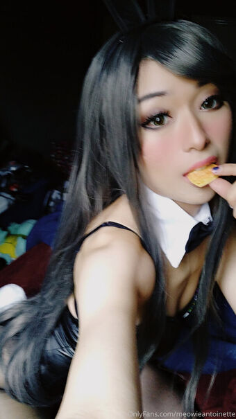 Meowieantoinette