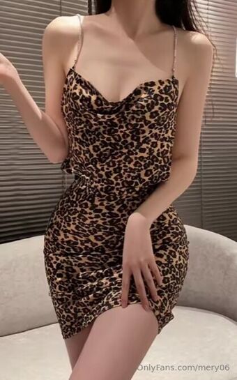 mery06 Голые слитые фото OnlyFans 11