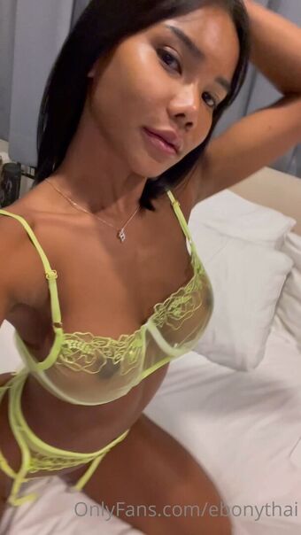 Mint Ebony Голые слитые фото OnlyFans 15