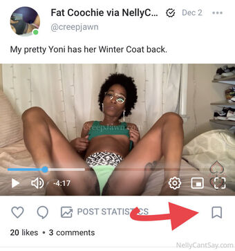 nellycantsay Голые слитые фото OnlyFans 29