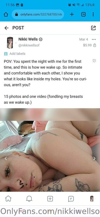 Nikkiwellsof Голые слитые фото OnlyFans 7