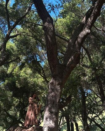 Noah Cyrus