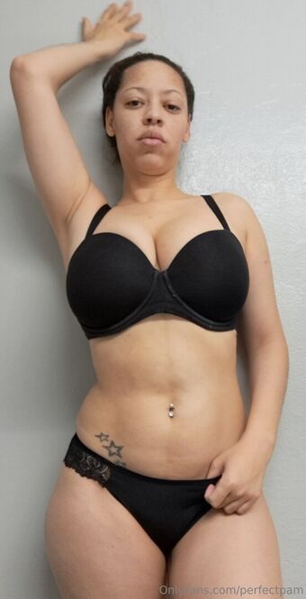 perfectpam Голые слитые фото OnlyFans 11