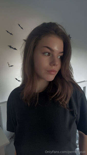 perrielpeak Голые слитые фото OnlyFans 7