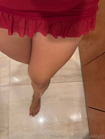 prettyykitty22 Голые слитые фото OnlyFans 3