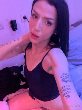 princessjasminets