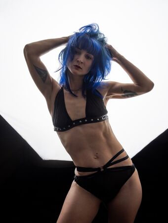 PunkModel