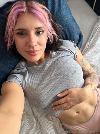 sabipeach