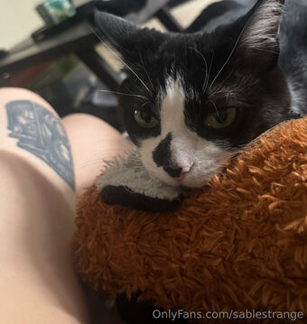 sablestrange Голые слитые фото OnlyFans 1