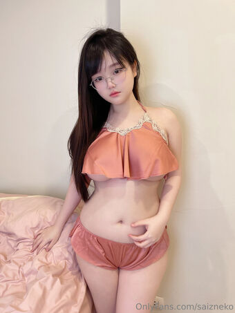 Saizneko