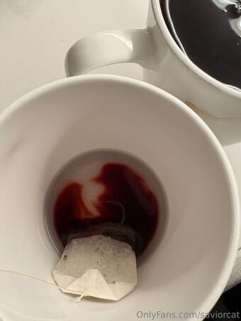 saviorcat Голые слитые фото OnlyFans 44