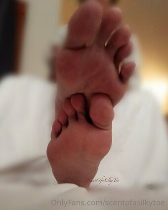 scentofasilkytoe
