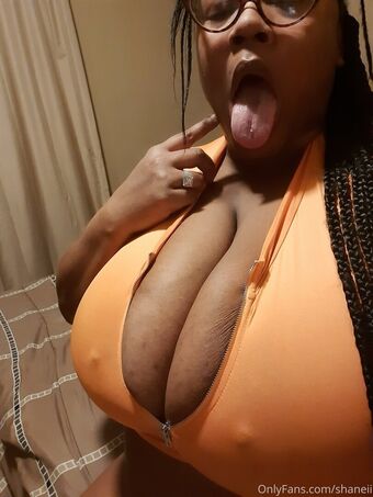 shaneii Голые слитые фото OnlyFans 29