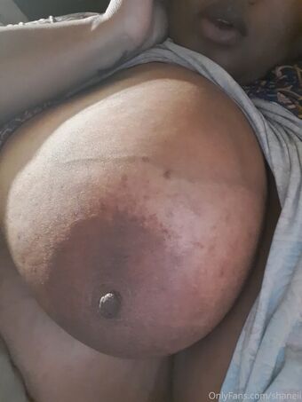 shaneii Голые слитые фото OnlyFans 38