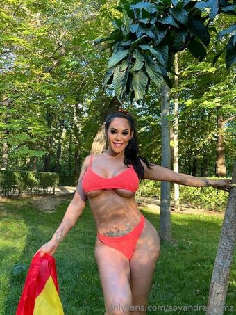 soyandrearamz